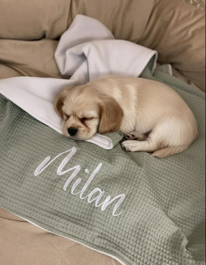 Hundedecke - Sofadecke Personalisiert - Farben nach Wunsch Mein Shop