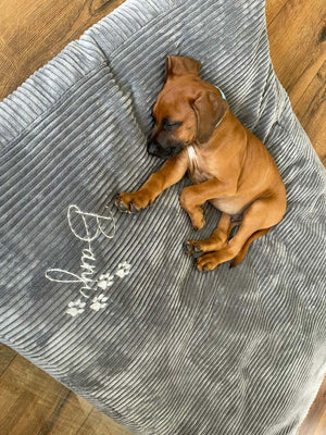 Wasserabweisendes Hundekissen mit kratzfestem Bezug, Innenbereich, bequemer Hundebett, in Variation, von Mein Shop