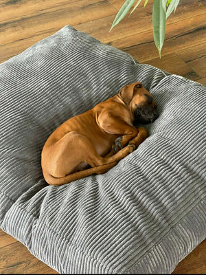 Wasserabweisendes Hundekissen mit kratzfestem Bezug von Mein Shop, geeignet für komfortable und langlebige Hundebetten.