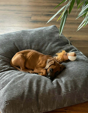 Wasserabweisendes Hundekissen mit kratzfestem Bezug von Mein Shop, innen weich und bequem für Hunde.