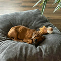 Hundekissen / Hundebett - Wasserabweisend innen /  Kratzfester Bezug